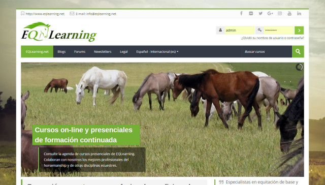 Equestrian Learning Network