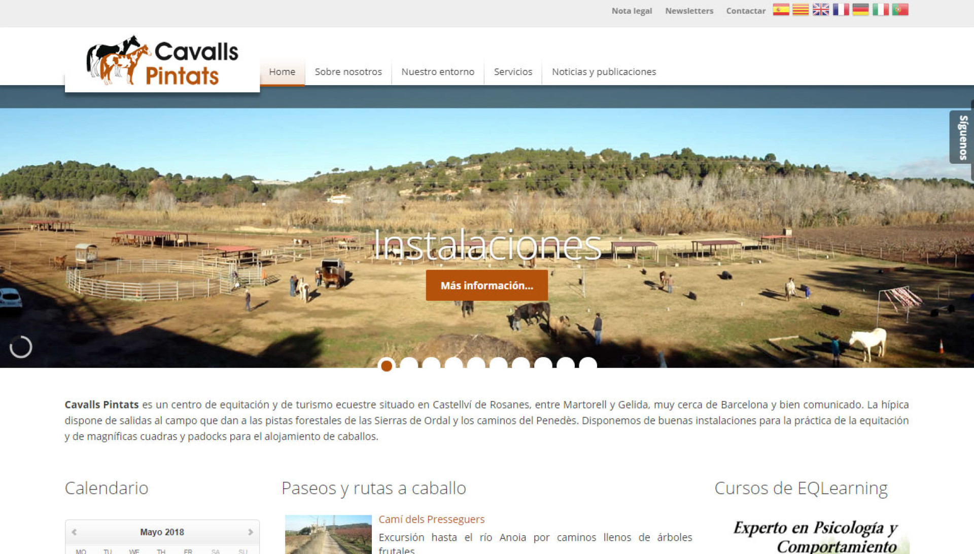 Cavalls Pintats Cavalls Pintats